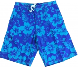 Hibiscus Turquoise